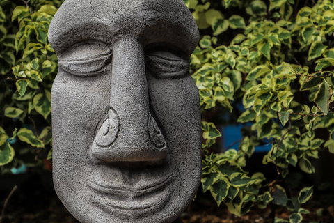 Cool Bananas Backpackers - Gold Coast 23