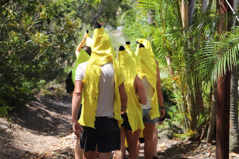 Cool Bananas Backpackers - Gold Coast 19