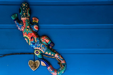 Cool Bananas Backpackers - Gold Coast 21