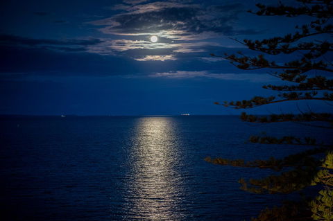 The Sebel Brisbane Margate Beach - Gold Coast 10