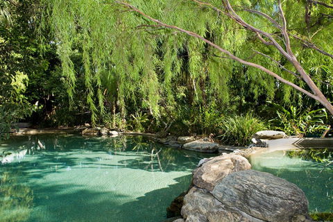 Thala Beach Nature Reserve - Tourism Gold Coast 30