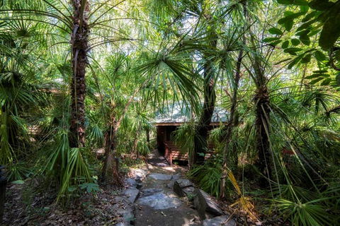 Thala Beach Nature Reserve - Tourism Gold Coast 21