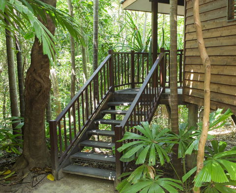 Thala Beach Nature Reserve - Tourism Gold Coast 22
