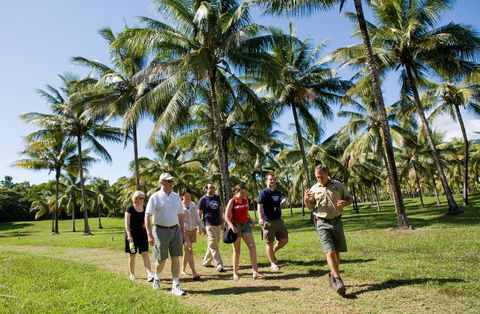 Thala Beach Nature Reserve - Tourism Gold Coast 42