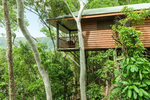 Thala Beach Nature Reserve - Tourism Gold Coast 17
