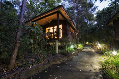Thala Beach Nature Reserve - Tourism Gold Coast 20