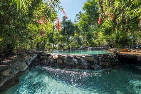Thala Beach Nature Reserve - Tourism Gold Coast 28