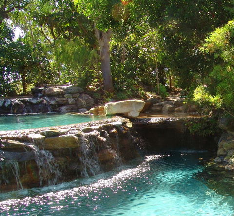 Thala Beach Nature Reserve - Tourism Gold Coast 29