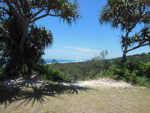 Whale Watch Ocean Beach Resort - Tourism Gold Coast 3