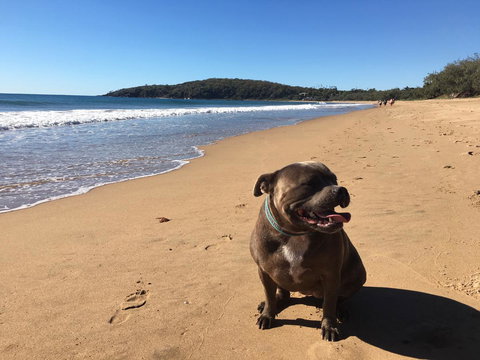 KiteSurf 1770 Beach House - Gold Coast 12