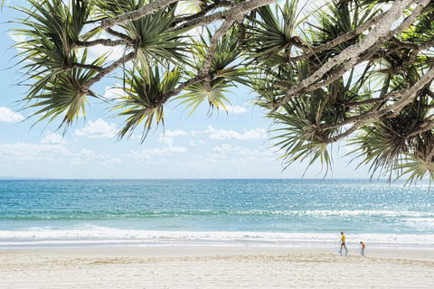 Netanya Noosa Beachfront Resort - Tourism Gold Coast 38