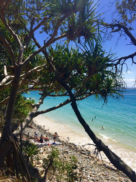 Bayona 1 Little Cove - Tourism Gold Coast 19