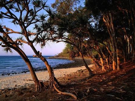 Bayona 1 Little Cove - Tourism Gold Coast 21