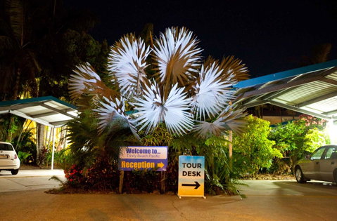 Trinity Beach Pacific - Tourism Gold Coast 11