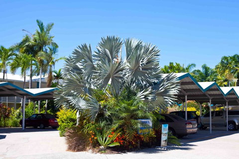 Trinity Beach Pacific - Tourism Gold Coast 15