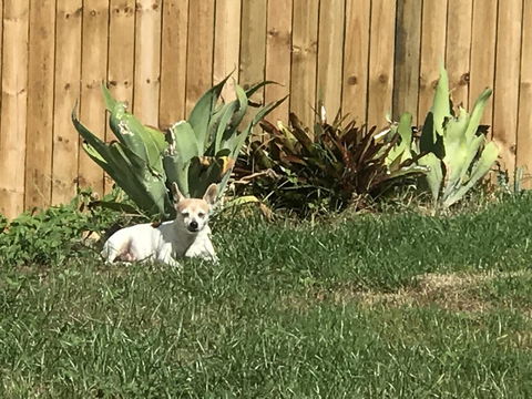 Whitsunday Luxury Homes - Tourism Gold Coast 42