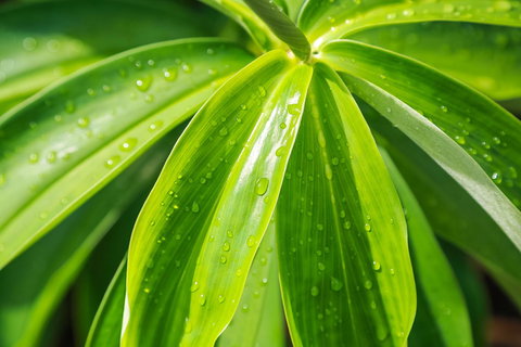 Port Douglas Motel - Tourism Gold Coast 27