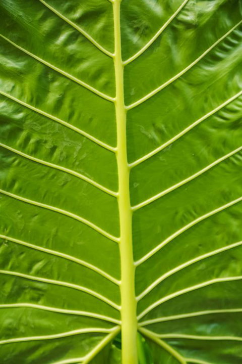 Port Douglas Motel - Tourism Gold Coast 24