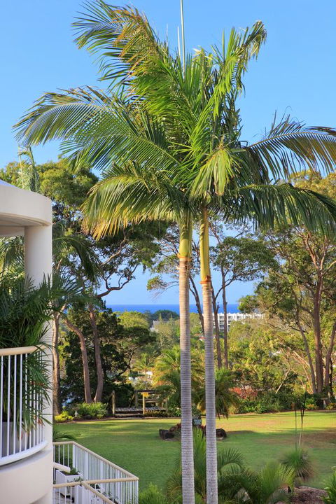 Serenity Apartments Noosa - Tourism Gold Coast 14