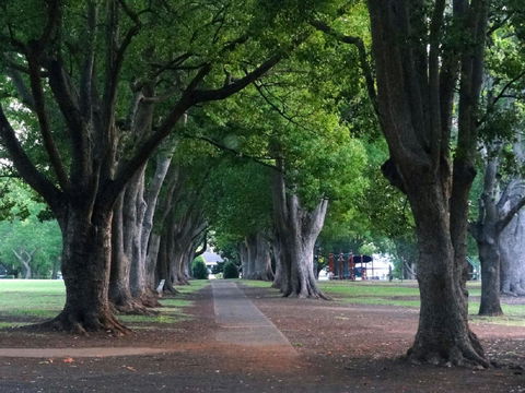 Comfort Inn Grammar View - Gold Coast 19
