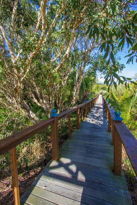 Agnes Sails - Gold Coast 8