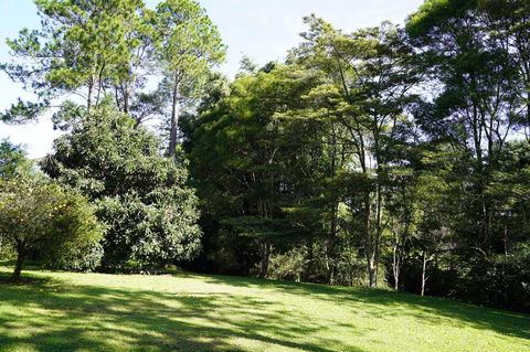 McCarthy Grove Maleny - Tourism Gold Coast 2