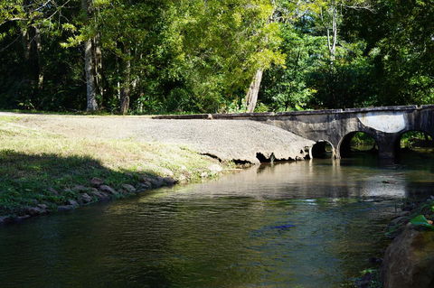 McCarthy Grove Maleny - Tourism Gold Coast 1