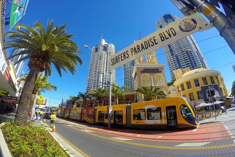 Seacrest Beachfront Apartments Surfers Paradise - Tourism Gold Coast 39