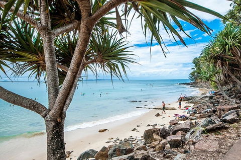 Noosa De Villa - Tourism Gold Coast 15