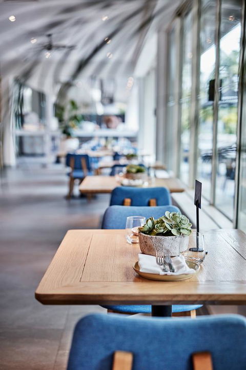 Novotel Cairns Oasis Resort - Tourism Gold Coast 19