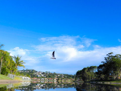 Bay Of Palms - Tourism Gold Coast 18