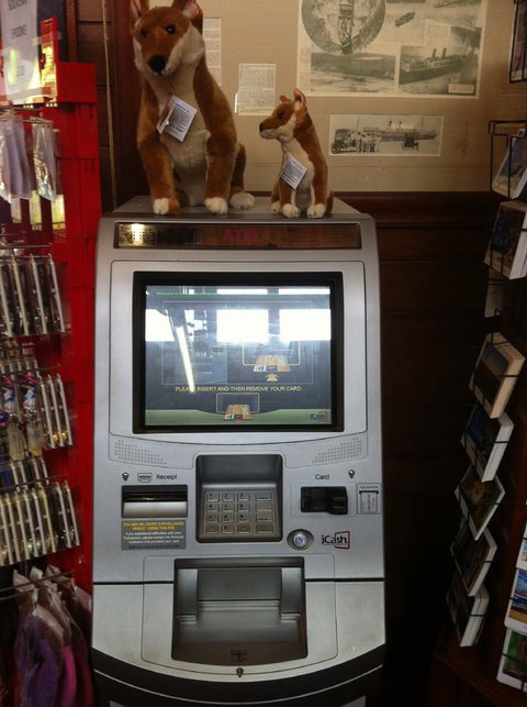 Fraser Island Retreat - Gold Coast 33