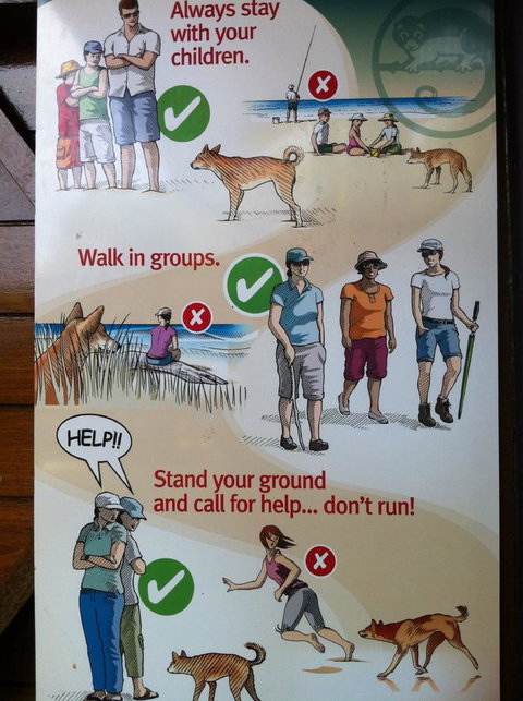 Fraser Island Retreat - Gold Coast 31