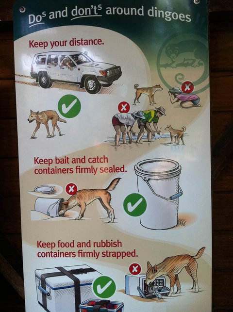 Fraser Island Retreat - Gold Coast 32