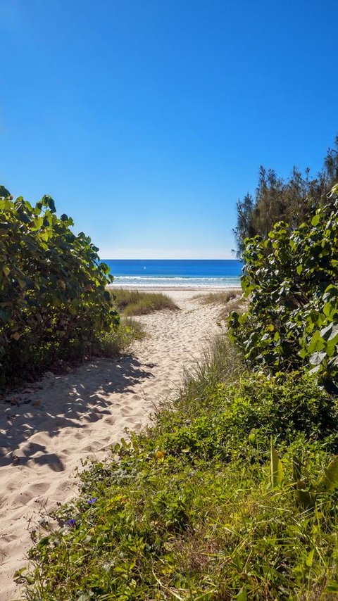 Bilinga Beach Motel - Tourism Gold Coast 26