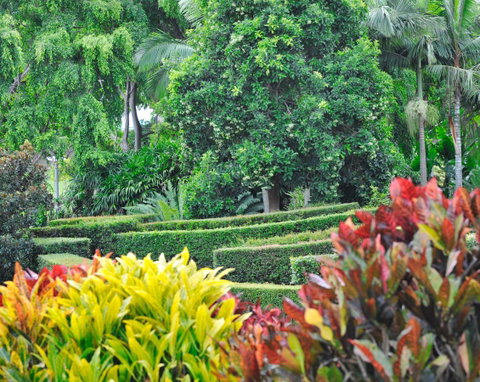Soho Brisbane - Tourism Gold Coast 3