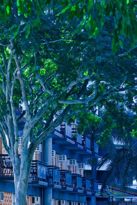 Soho Brisbane - Tourism Gold Coast 12