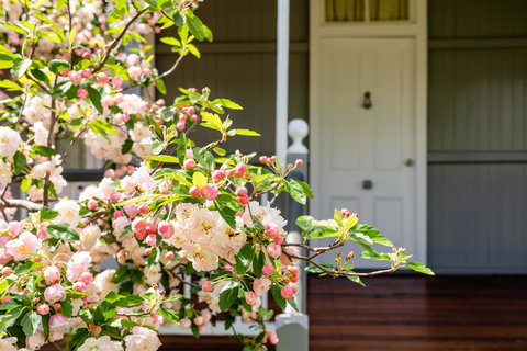 Apple Blossom Cottages - Tourism Gold Coast 2