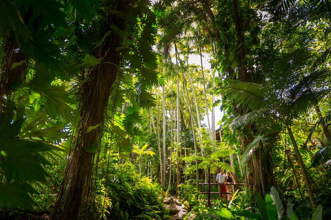 Cairns Colonial Club Resort - Tourism Gold Coast 22