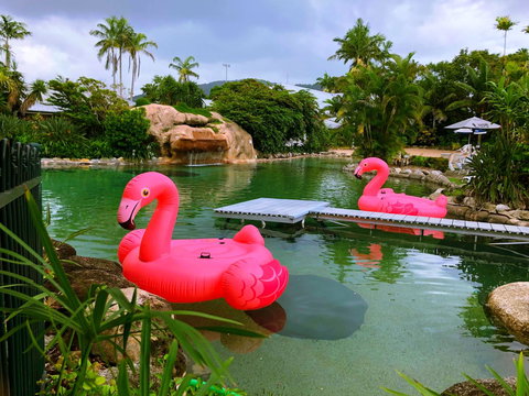 Cairns Colonial Club Resort - Tourism Gold Coast 6