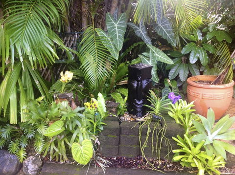 Bluewater Bed & Breakfast Cairns - Tourism Gold Coast 16