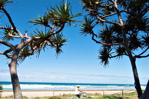 Grande Florida Beachside Resort - Tourism Gold Coast 34