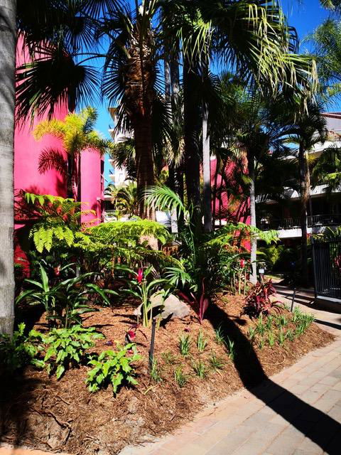 Enderley Gardens Resort - Tourism Gold Coast 12