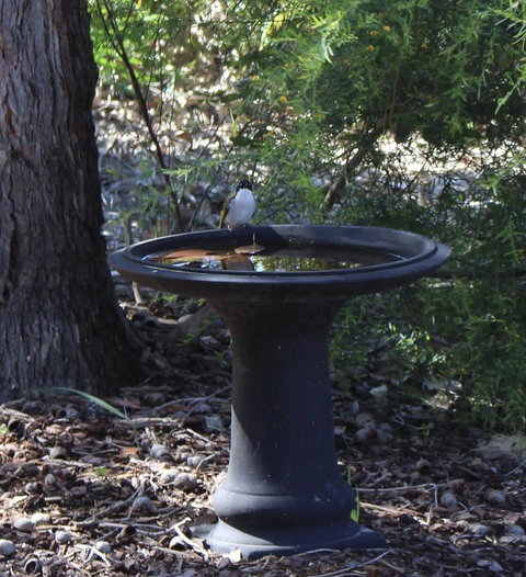Waterside View - Tourism Gold Coast 3