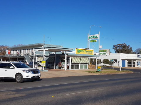 Wattle Tree Motel - Tourism Gold Coast 0