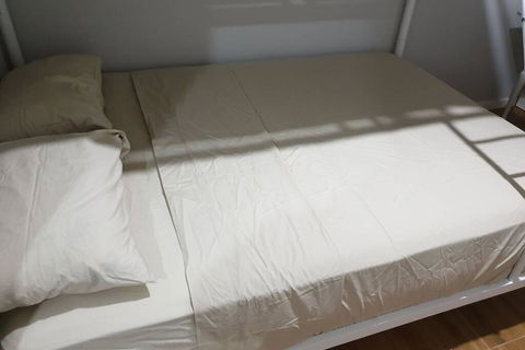 Weaver Heaven - Tourism Gold Coast 3