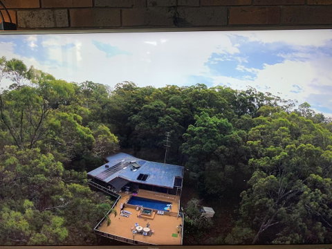 Where The Forest Meets The Sea On The Gold Coast - Tourism Gold Coast 1