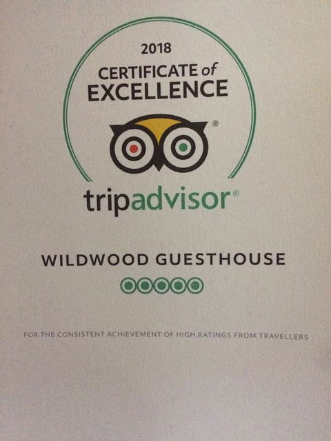 Wildwood Guesthouse - Tourism Gold Coast 3