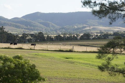 Windarra Lodge - Tourism Gold Coast 3