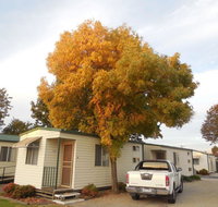 Wodonga Caravan  Cabin Park - Gold Coast